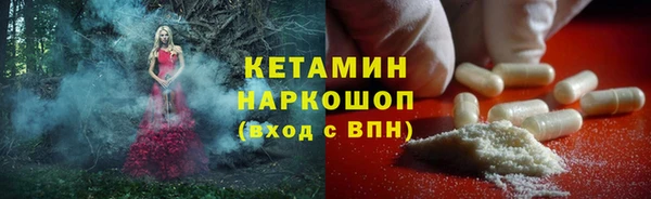 гидра Михайловка