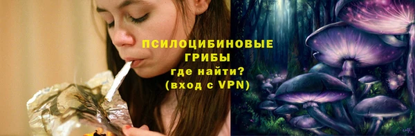 гидра Михайловка