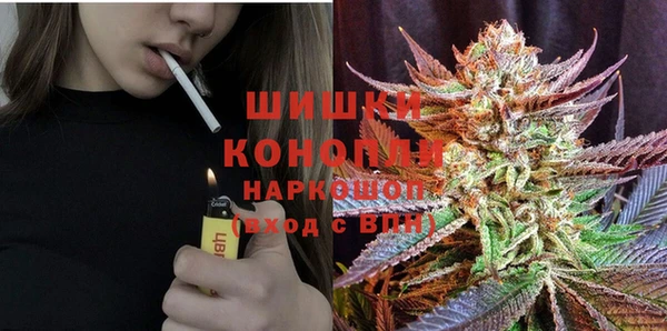 гидра Михайловка