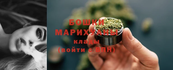 гидра Михайловка