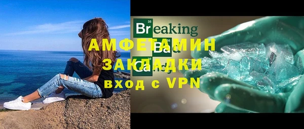 гидра Михайловка
