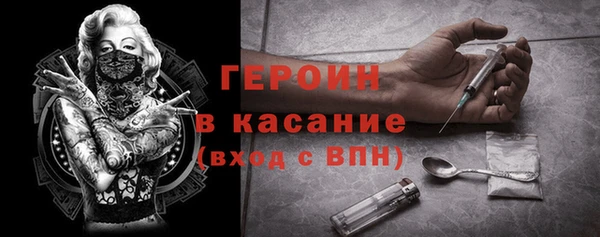гидра Михайловка