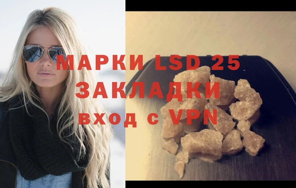 гидра Михайловка